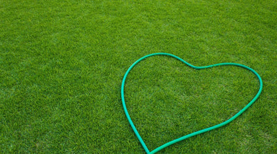How To Spray Paint Your Grass Green