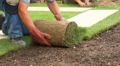 DIY: How to Lay Your Own Sod and Keep it Alive