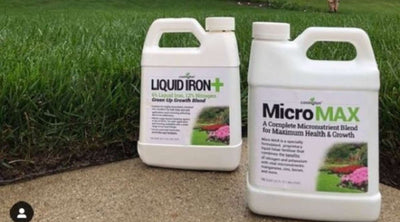 The Green Up - How to Use Liquid Iron for Lawns