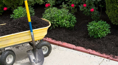 Mulch Dye: How To Dye Your Mulch & Bring Your Beds Back To Life