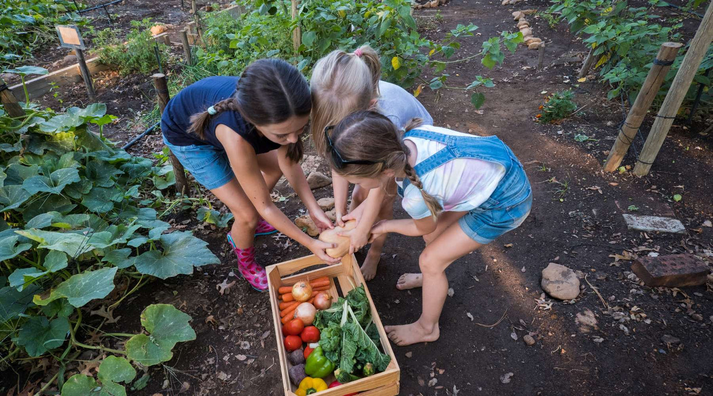 Vegetable Garden for Kids
