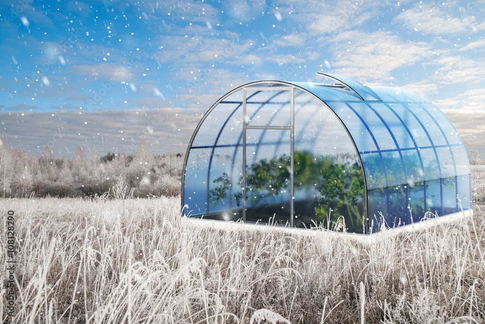 Winter Greenhouse Gardening in a Growing Dome