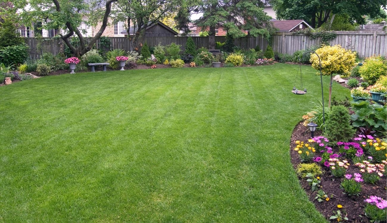 Get Lawn Care Help, Tips, and Advice