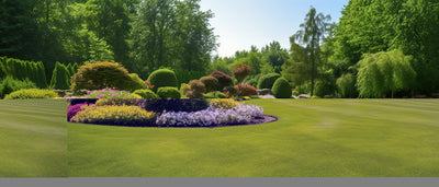 How to Use Liquid Aerator, Dethatcher, and HFK-633 Humics for Healthier Soil, Lawn, and Shrubs