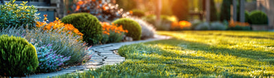 Caring For Your Lawn in 2025