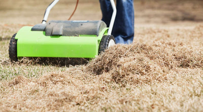 Lawn Dethatcher : Beginners Guide to Lawn Dethatching