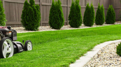 3 Benefits of Organic Grass and Lawn Care