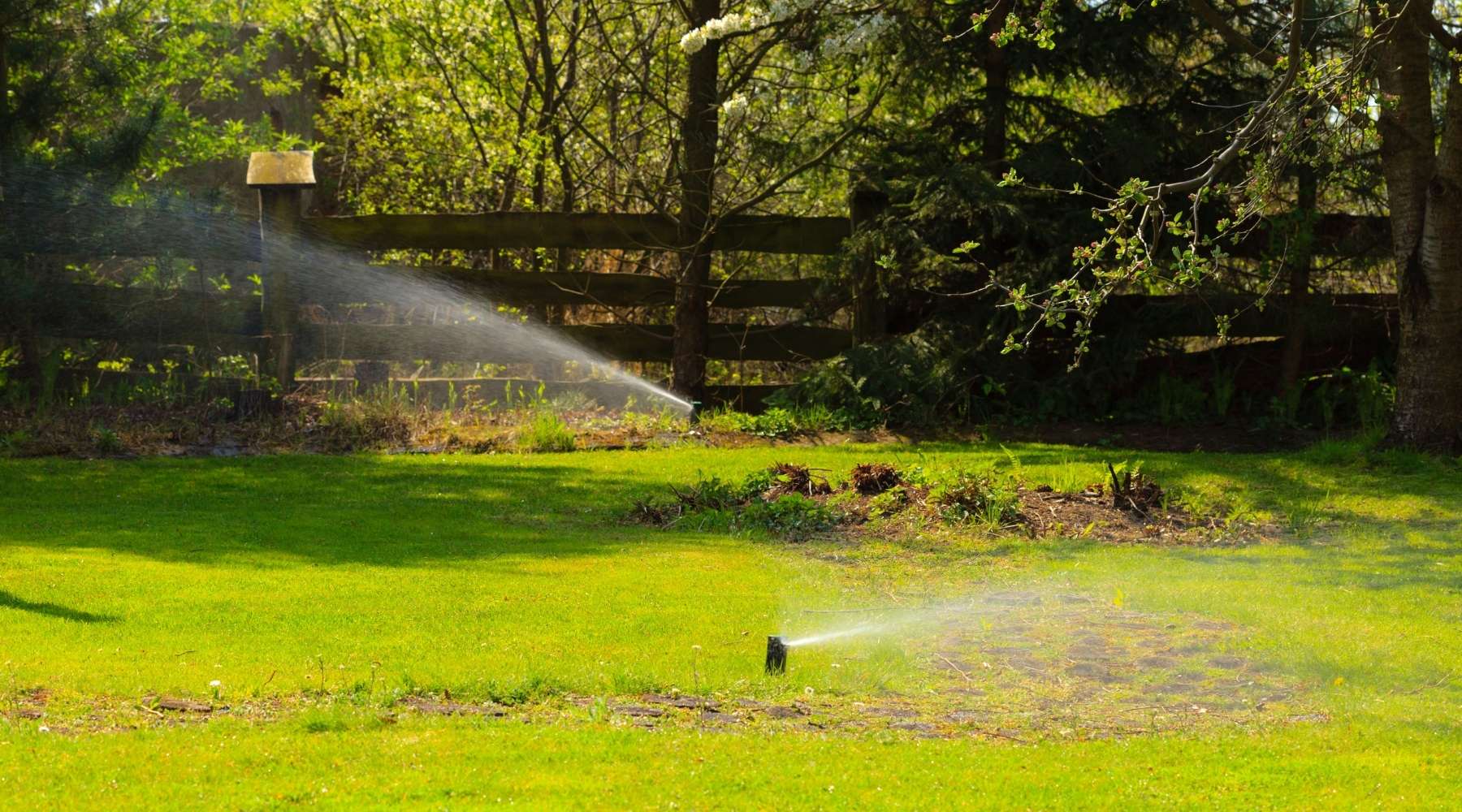 Mesmerizing Can You Over Water Sod Design Concept Mesmerizing Can You Over Water Sod Design Concept