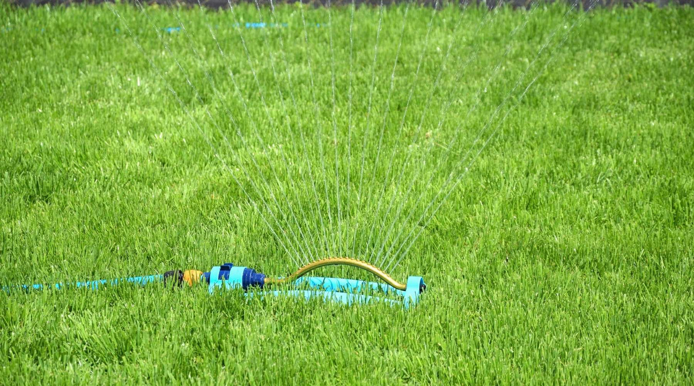 best watering practices for a beautiful lawn