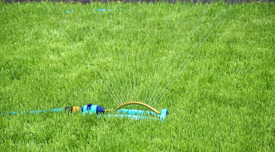 Best Watering Practices for a Beautiful Lawn