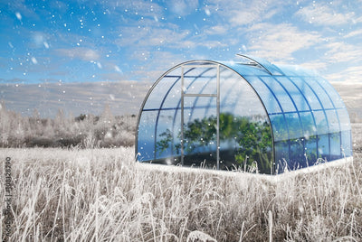 Tips To Build A Temporary Winter Greenhouse