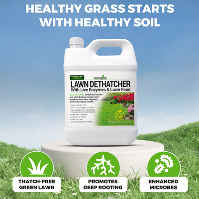 Liquid Lawn Dethatcher
