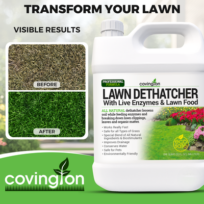Liquid Lawn Dethatcher