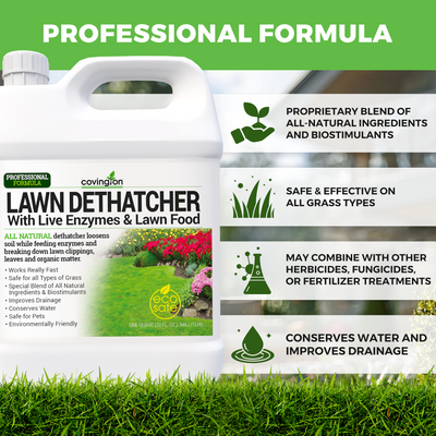 Liquid Lawn Dethatcher