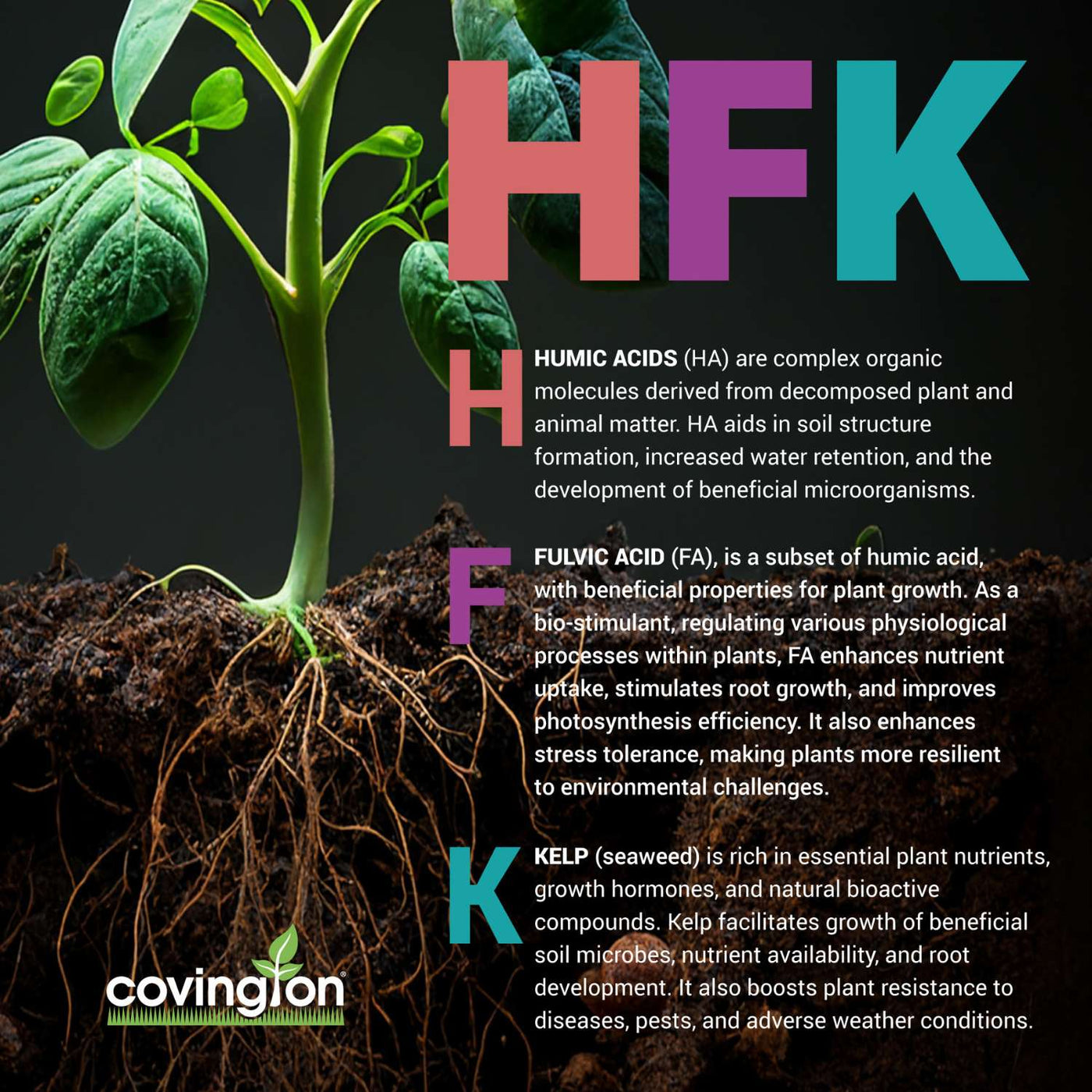 PRO-LINE HFK-633 Root Growth Stimulant