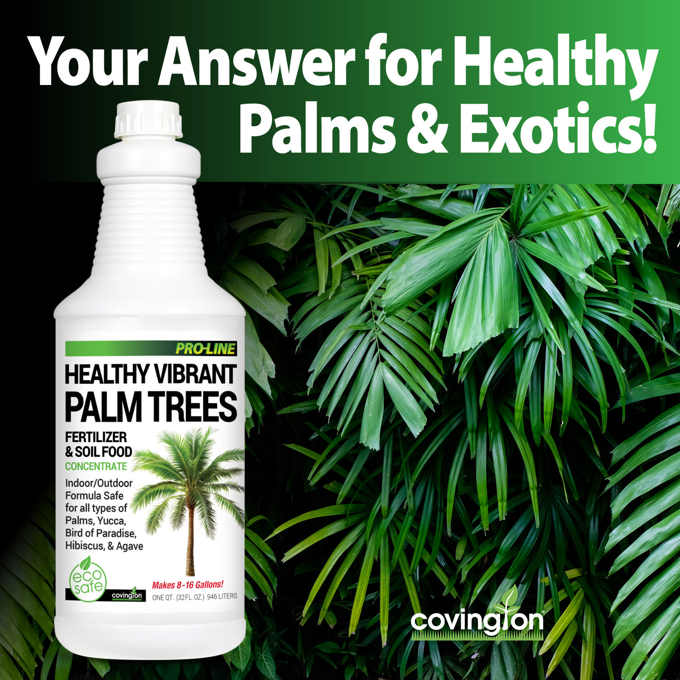 Palm Fertilizer