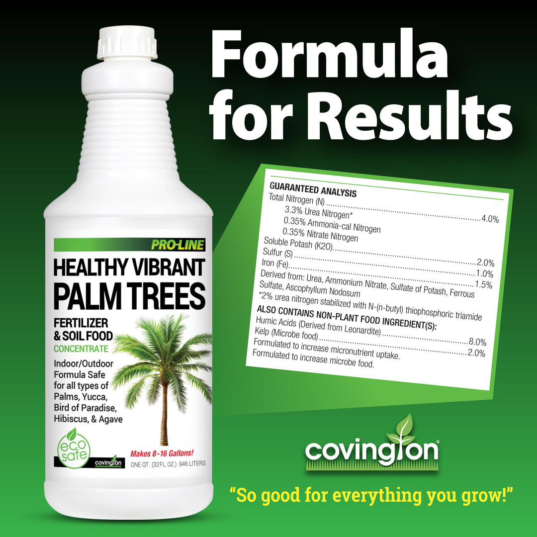 best fertilizer for palm plants Palm Fertilizer Quart