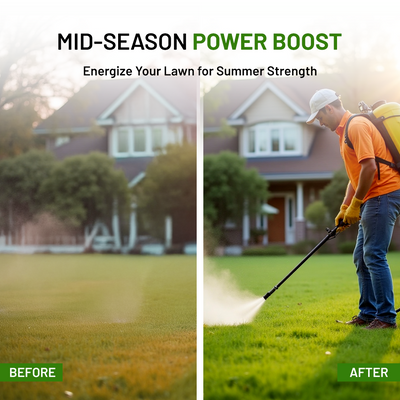 ProLine Slow Release High Nitrogen Fertilizer Plus Micronutrients 26-0-0