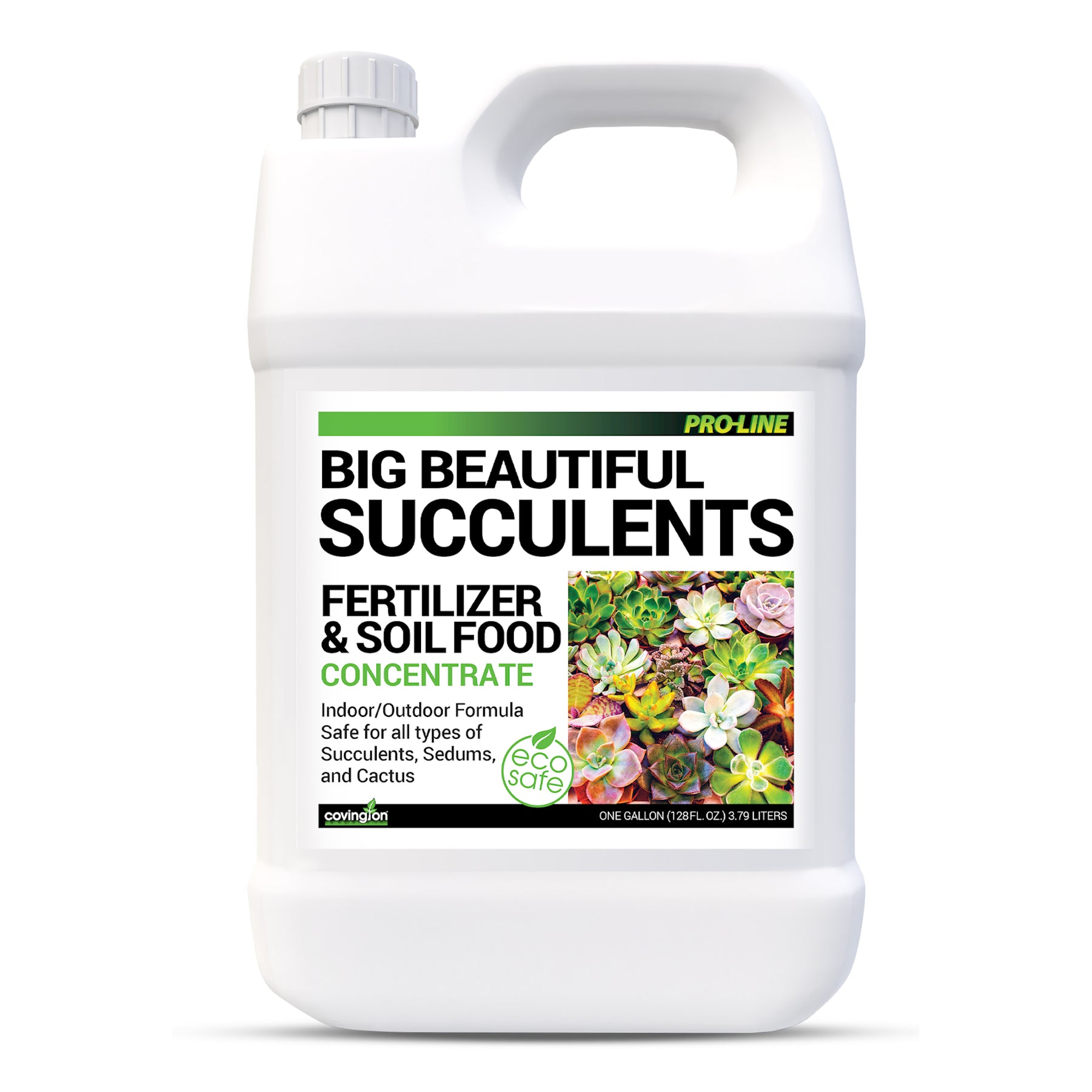 fertilizer for succulent plants COVINGTON NATURALS Best Liquid Succulent Fertilizer – Indoor Outdoor Plant Food for All Types –– Slow Release Fertilizer – Liquid Plant Food
