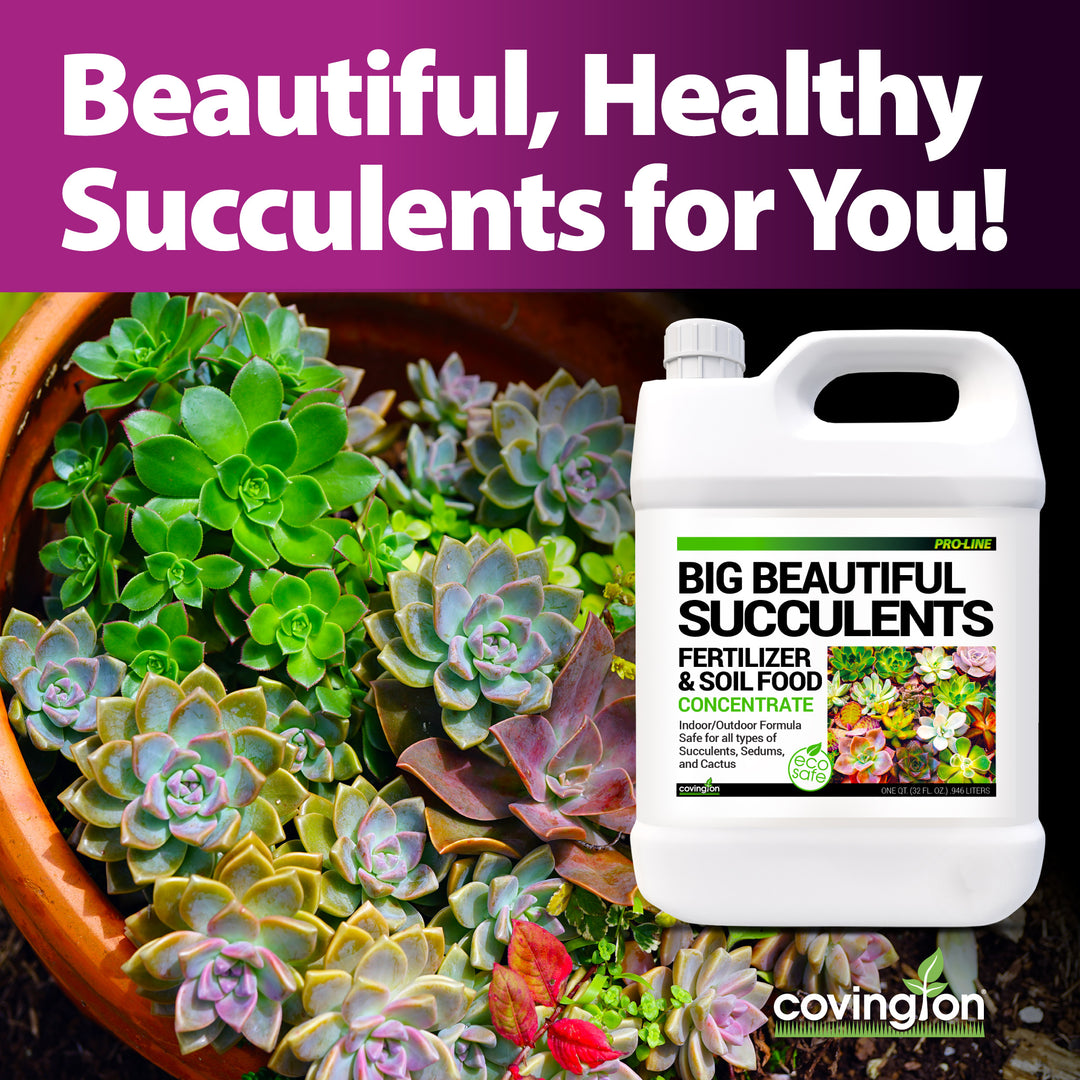 fertilizer for succulents Succulents Fertilizer – Covington Naturals