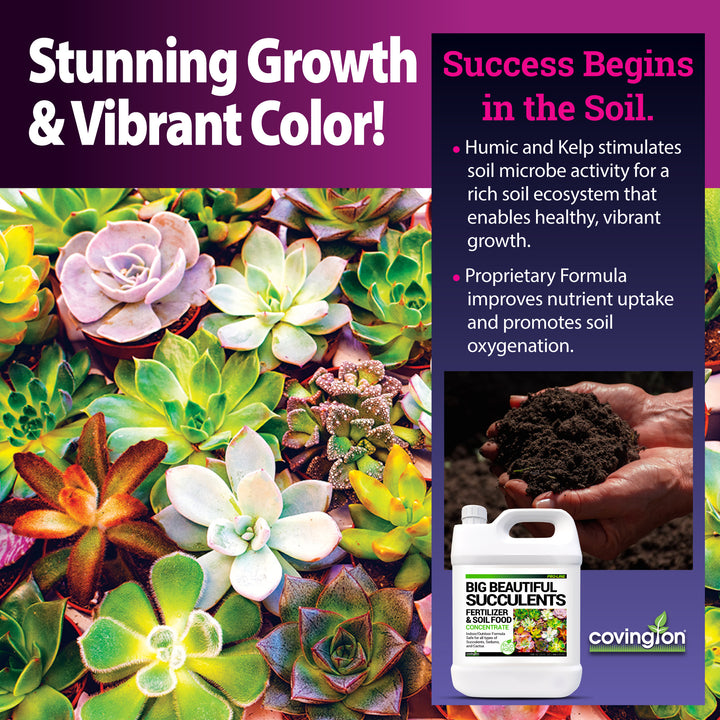 liquid fertilizer for succulents Succulents Fertilizer – Covington Naturals