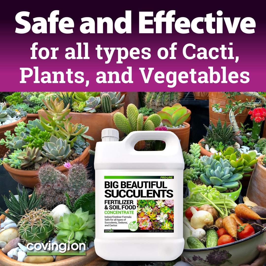 Succulents Fertilizer – Covington Naturals