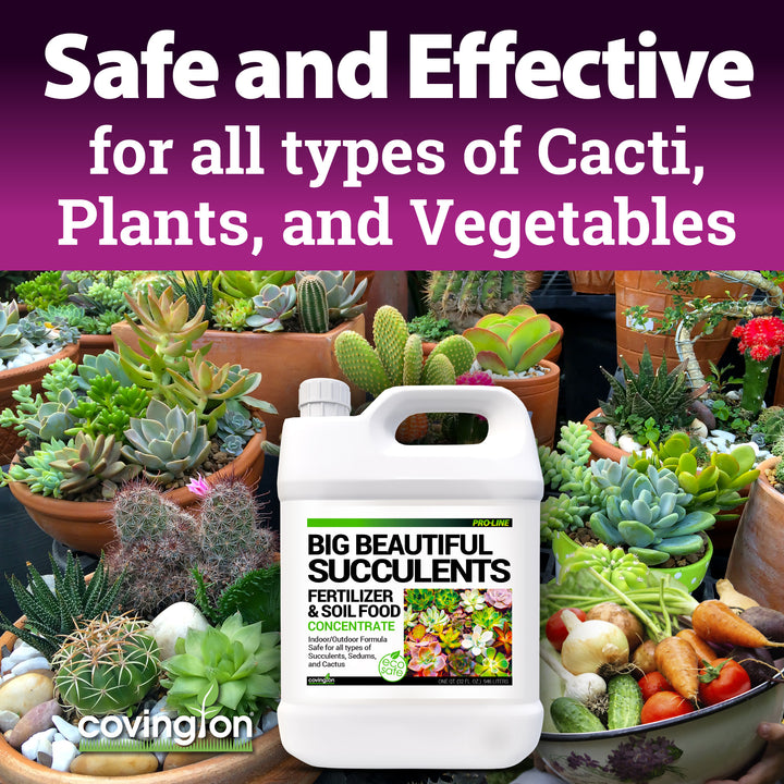 succulents fertilizer need Succulents Fertilizer – Covington Naturals