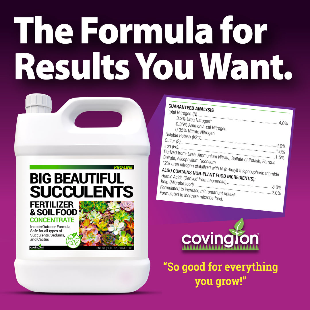is nitrogen good for succulents Succulents Fertilizer – Covington Naturals