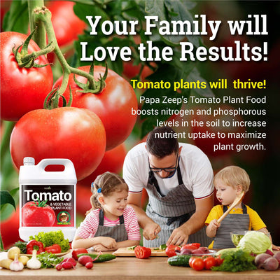 tomato and vegetable fertilizer