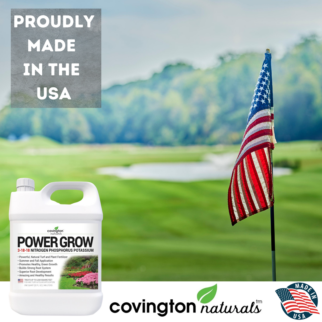 high phosphorus organic liquid fertilizer High Phosphorus Fertilizer, High Potassium Fertilizer, Liquid Potash Fertilizer for Grass 3-18-18 NPK Natural Lawn & Plant Food Fall Winter Quart