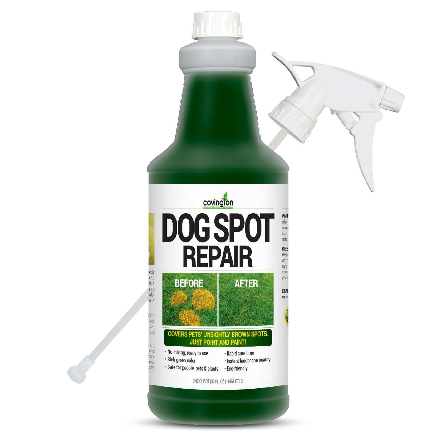 Dog Spot Repair