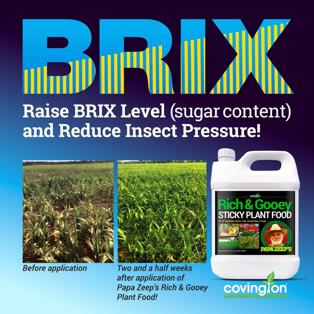 is sugar a good fertilizer for plants Rich and Gooey Sticky Plant Food – Covington Naturals